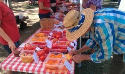 Farmers’ Market Tomato Taste-Off and Craft Fair