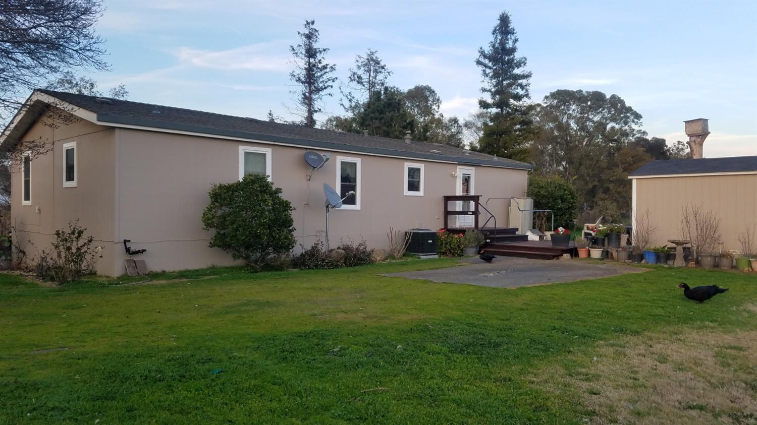 Dunnigan Realtors, 9777 Baseline Rd, Elverta, Placer, California, United States 95626, 3 Bedrooms Bedrooms, ,2 BathroomsBathrooms,Single Family Home,Sold Listings,Baseline Rd,1263